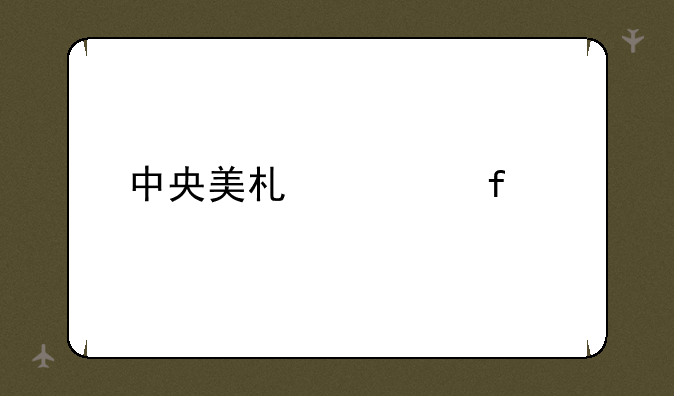 中央美术学院考研