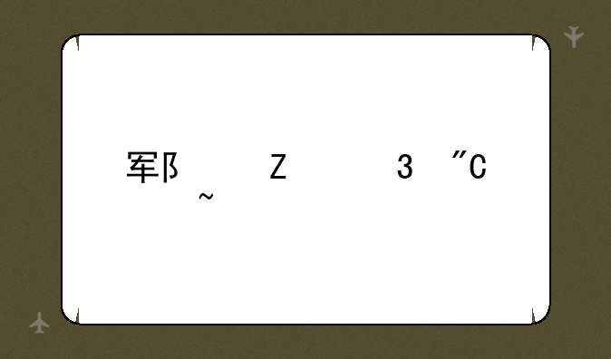 军队文职成绩查询