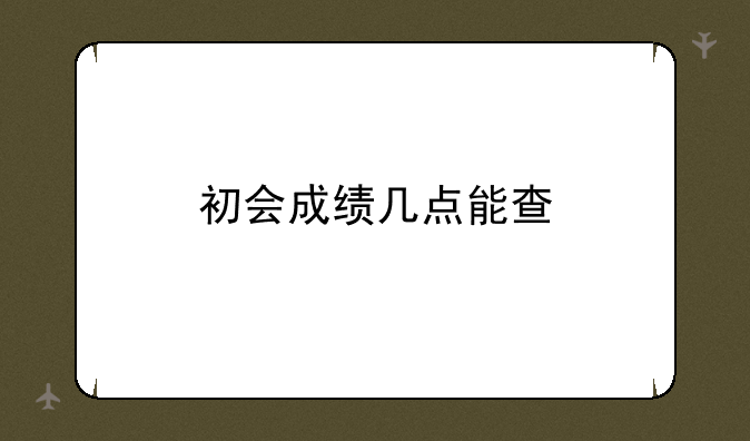 初会成绩几点能查