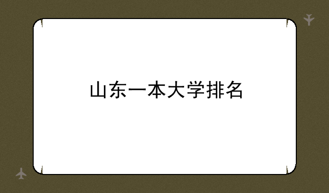 山东一本大学排名