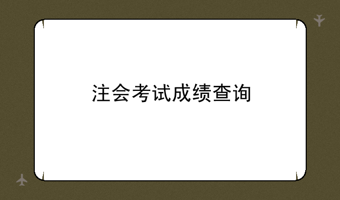 注会考试成绩查询