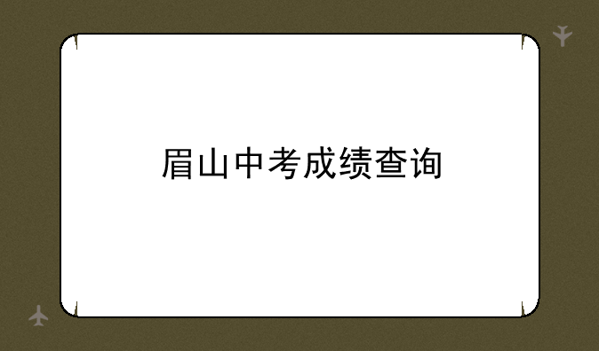 眉山中考成绩查询