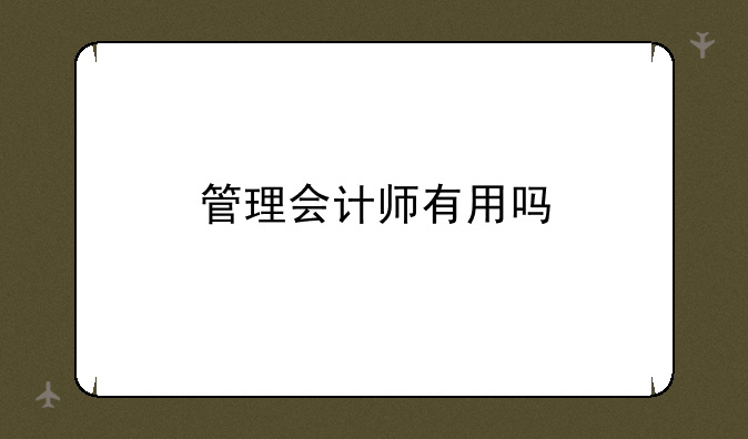 管理会计师有用吗