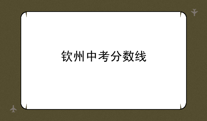 钦州中考分数线