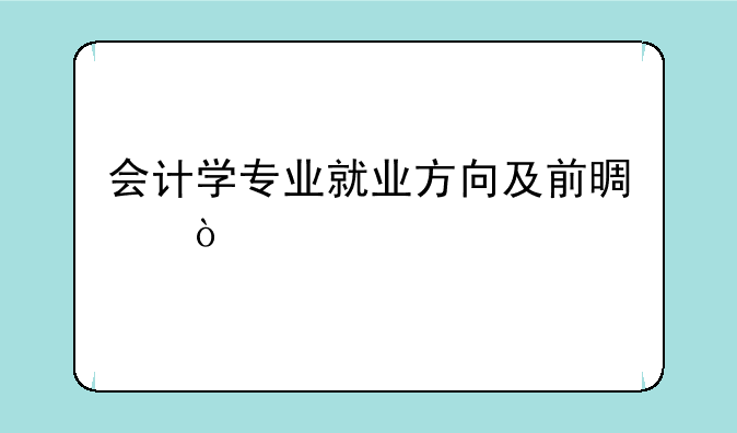 会计学专业就业方向及前景？