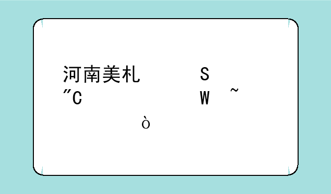 河南美术联考成绩如何查询？