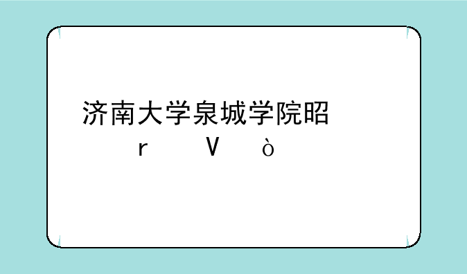 济南大学泉城学院是几本啊？