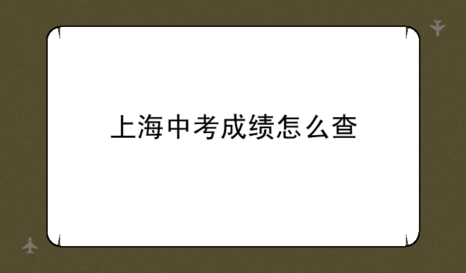 上海中考成绩怎么查