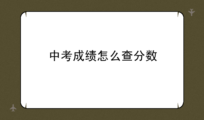 中考成绩怎么查分数