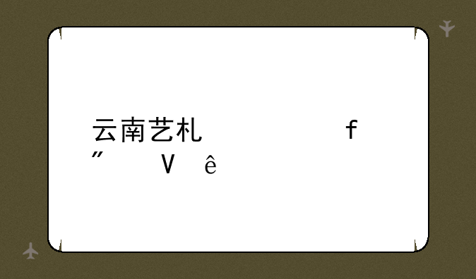云南艺术学院分数线