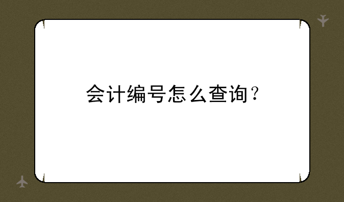 会计编号怎么查询？