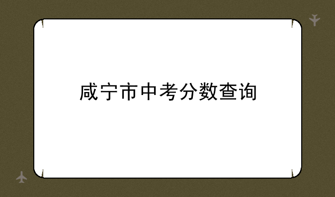 咸宁市中考分数查询