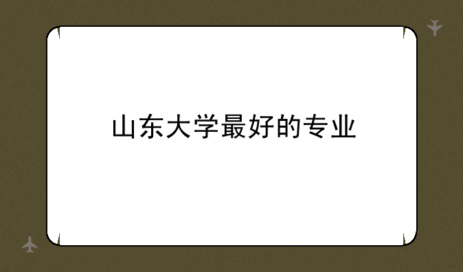 山东大学最好的专业