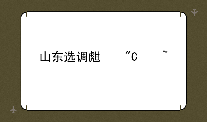 山东选调生成绩查询