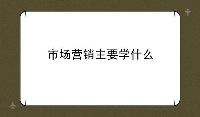 市场营销主要学什么