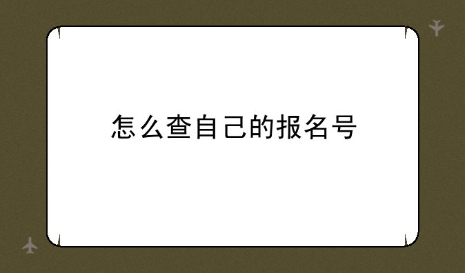 怎么查自己的报名号