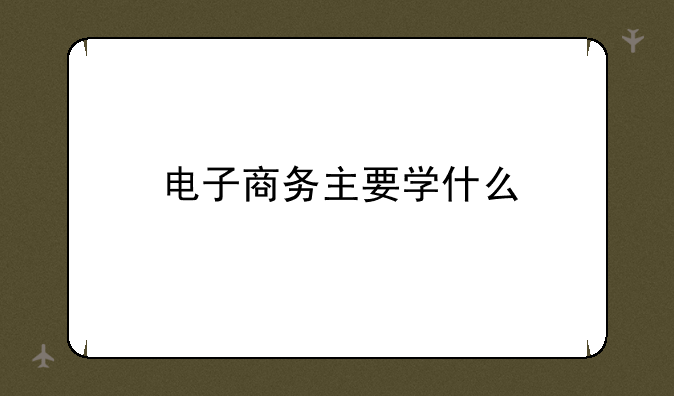 电子商务主要学什么