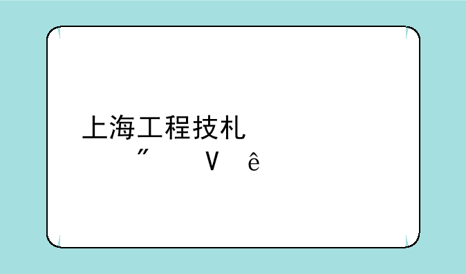 上海工程技术大学分数线
