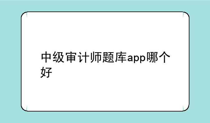 中级审计师题库app哪个好