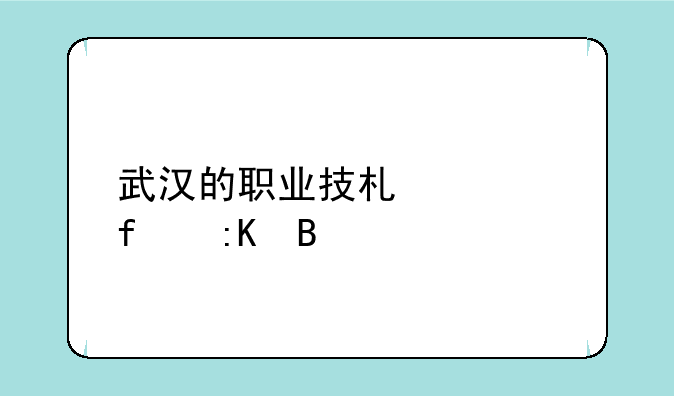 武汉的职业技术学院排名