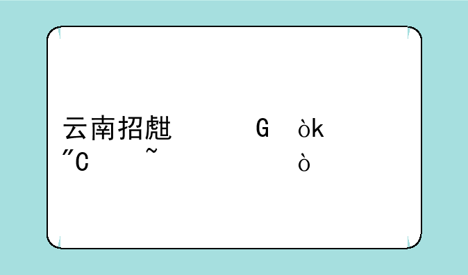 云南招生网会考成绩查询？