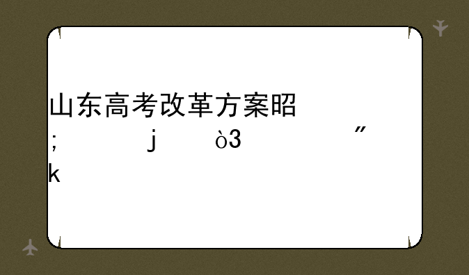 山东高考改革方案是怎样的，总分多少
