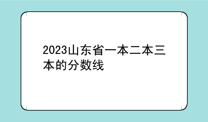 2023山东省一本二本三本的分数线