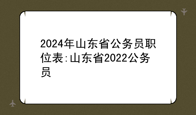 2024年山东省公务员职位表:山东省2022公务员